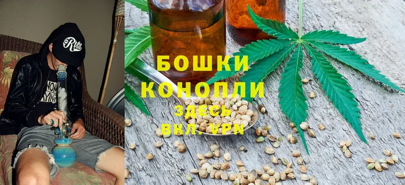 Бошки Шишки OG Kush  Орлов 